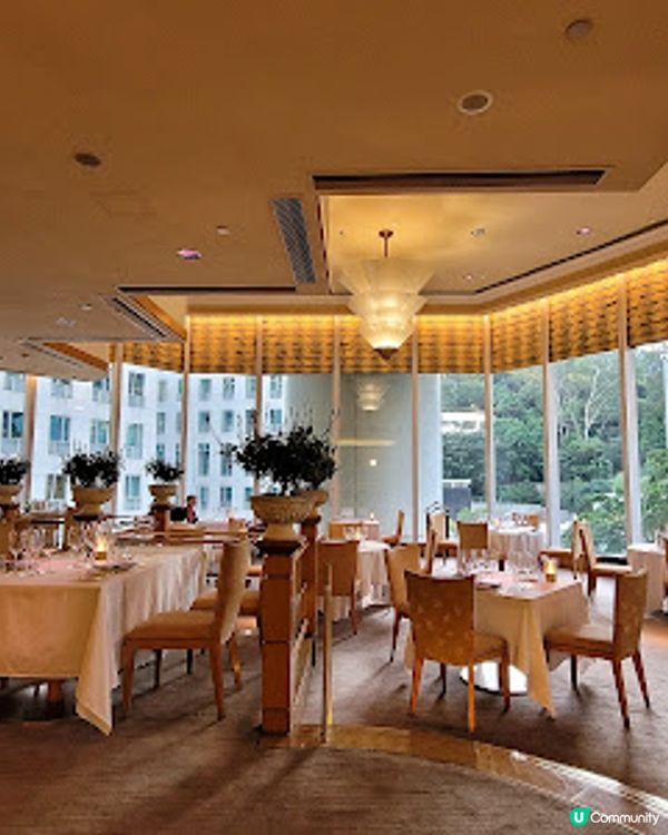 浪漫的一個月 X 紫魅薰衣草 @ Brasserie on the Eighth ( 金鐘香港港麗酒店 )