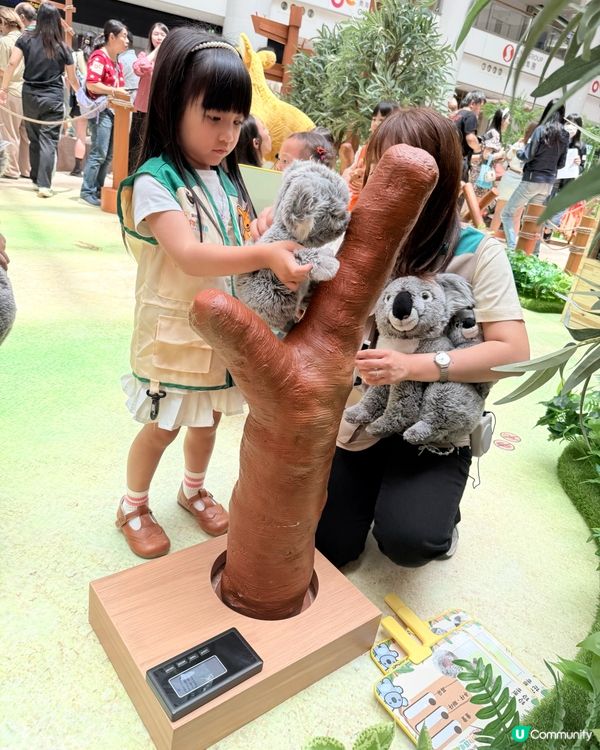 超級好玩🦒暑假期必玩~🐼