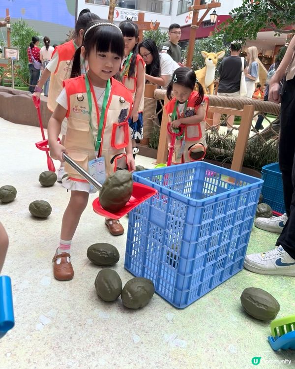 超級好玩🦒暑假期必玩~🐼