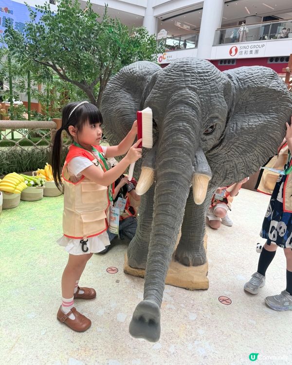 超級好玩🦒暑假期必玩~🐼