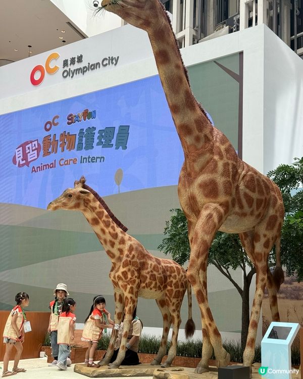 超級好玩🦒暑假期必玩~🐼