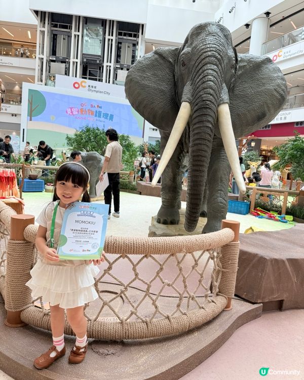 超級好玩🦒暑假期必玩~🐼