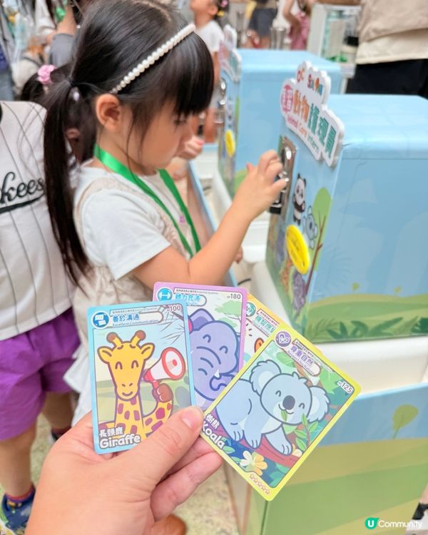 超級好玩🦒暑假期必玩~🐼