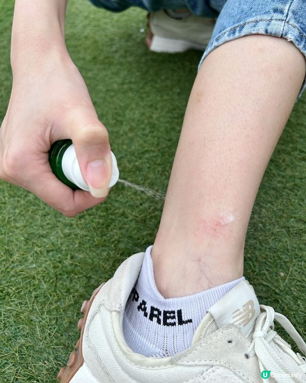 寶貝龜龜🐢 🐢放電,最鐘意草地行,真係好多蚊🦟🦟 