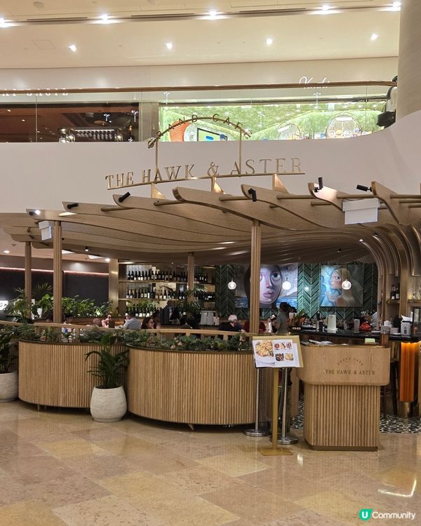 意猶未盡飲杯啡