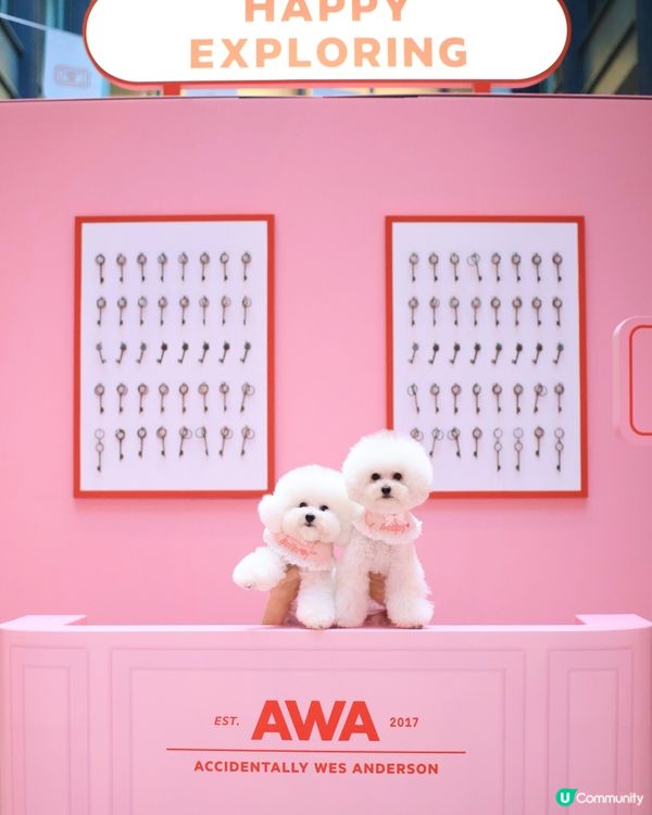 世界美學展嚟啦！📸 藝術氣息爆燈！