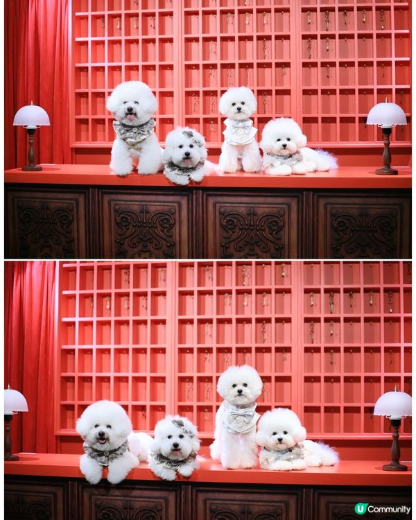 世界美學展嚟啦！📸 藝術氣息爆燈！