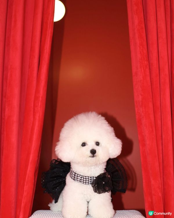 世界美學展嚟啦！📸 藝術氣息爆燈！