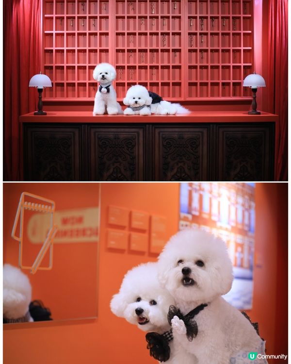 世界美學展嚟啦！📸 藝術氣息爆燈！