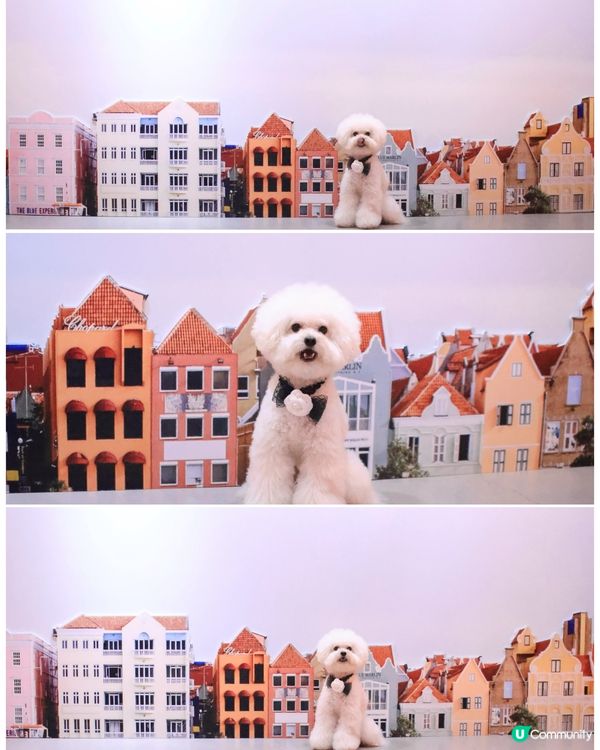 世界美學展嚟啦！📸 藝術氣息爆燈！