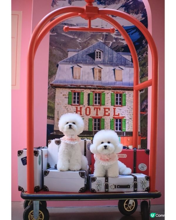 世界美學展嚟啦！📸 藝術氣息爆燈！