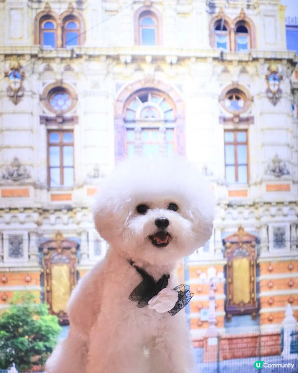 世界美學展嚟啦！📸 藝術氣息爆燈！