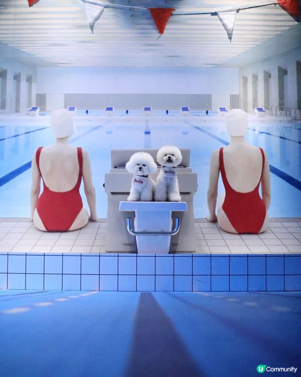 世界美學展嚟啦！📸 藝術氣息爆燈！