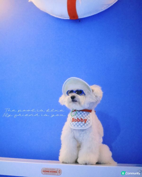 世界美學展嚟啦！📸 藝術氣息爆燈！