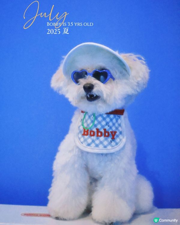 世界美學展嚟啦！📸 藝術氣息爆燈！