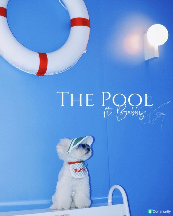 世界美學展嚟啦！📸 藝術氣息爆燈！