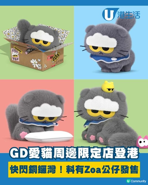 G-Dragon愛貓Zoa周邊限定店登港！