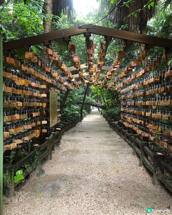 環遊日本🇯🇵｜宮崎快閃一日遊路線攻略