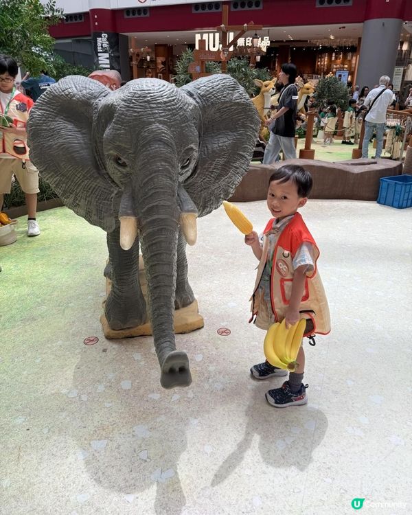 奧海城 X STAYFUN「見習動物護理員」