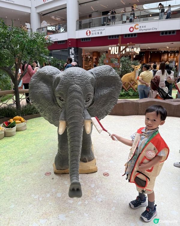 奧海城 X STAYFUN「見習動物護理員」