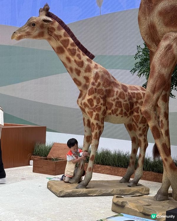 奧海城 X STAYFUN「見習動物護理員」