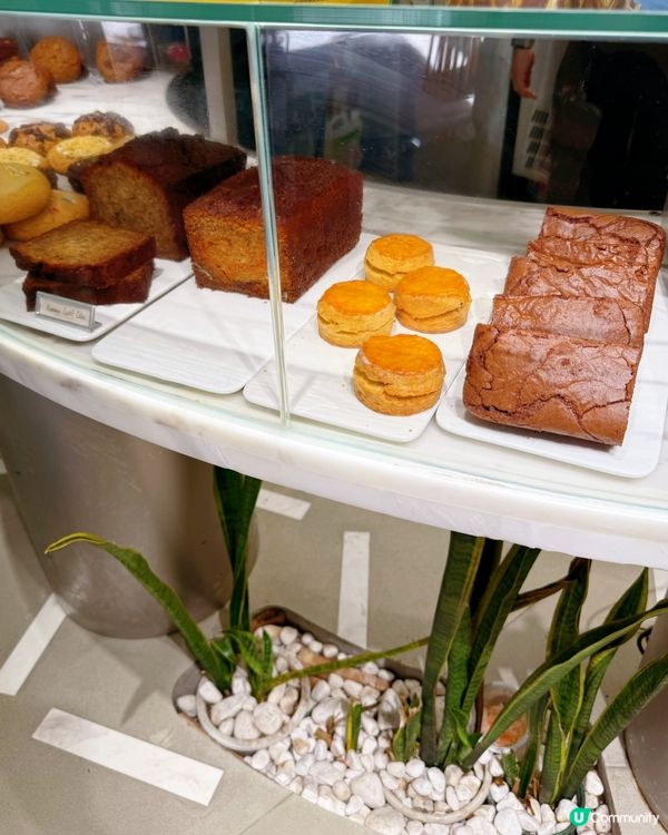 芝麻街打卡📸！中環美食之旅😋！