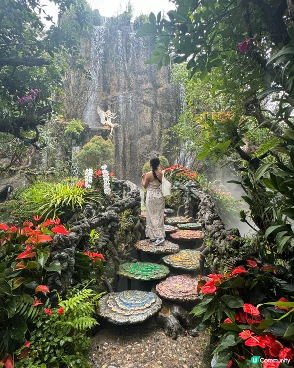 清邁清萊一日遊📸！白廟藍廟紅廟打卡🤩