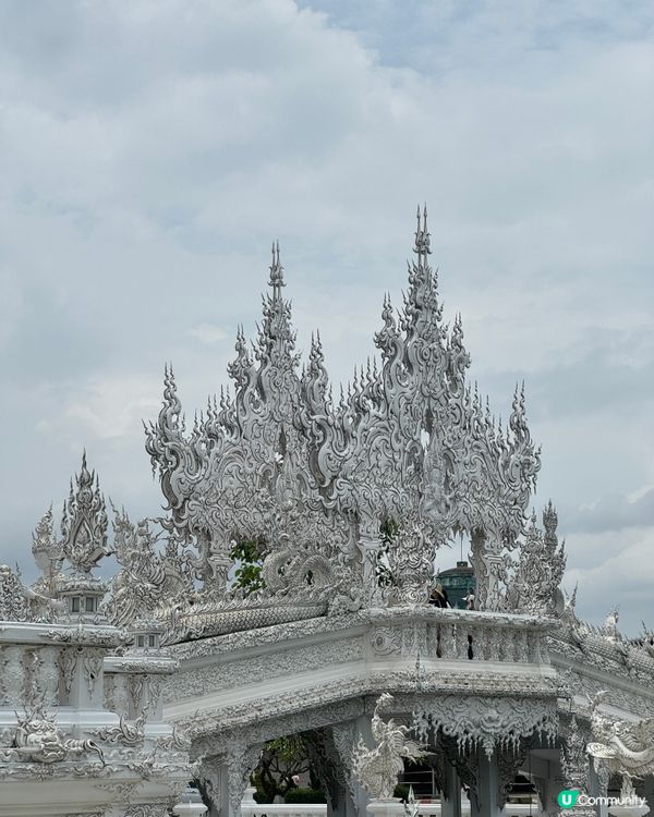清邁清萊一日遊📸！白廟藍廟紅廟打卡🤩