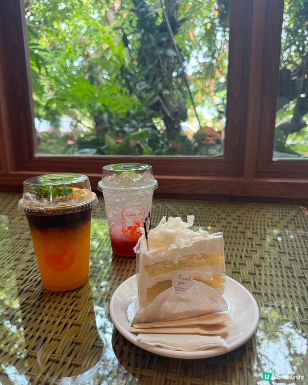 清邁清萊一日遊📸！白廟藍廟紅廟打卡🤩