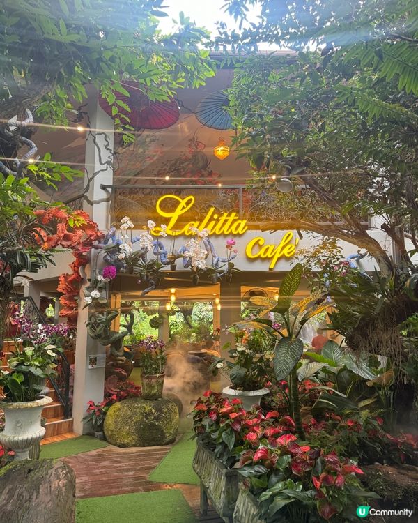 清邁清萊一日遊📸！白廟藍廟紅廟打卡🤩