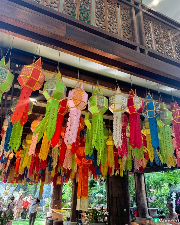 清邁清萊一日遊📸！白廟藍廟紅廟打卡🤩