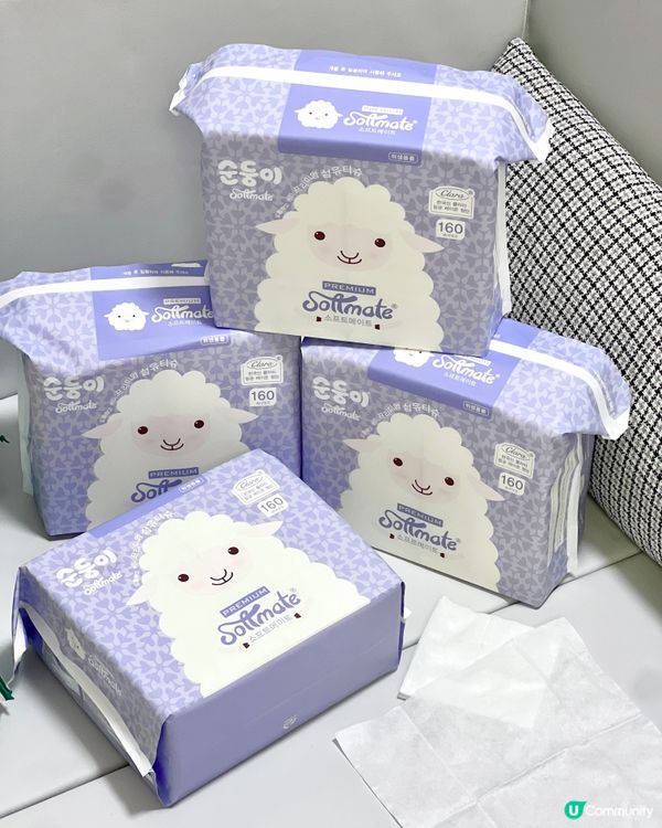 順順兒陪住波b清清爽爽過暑假！☀️