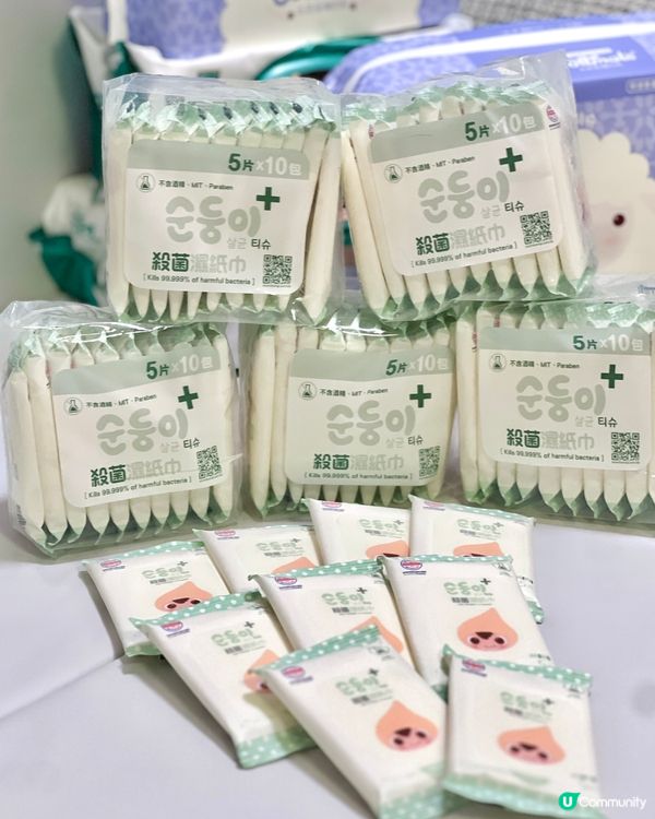 順順兒陪住波b清清爽爽過暑假！☀️