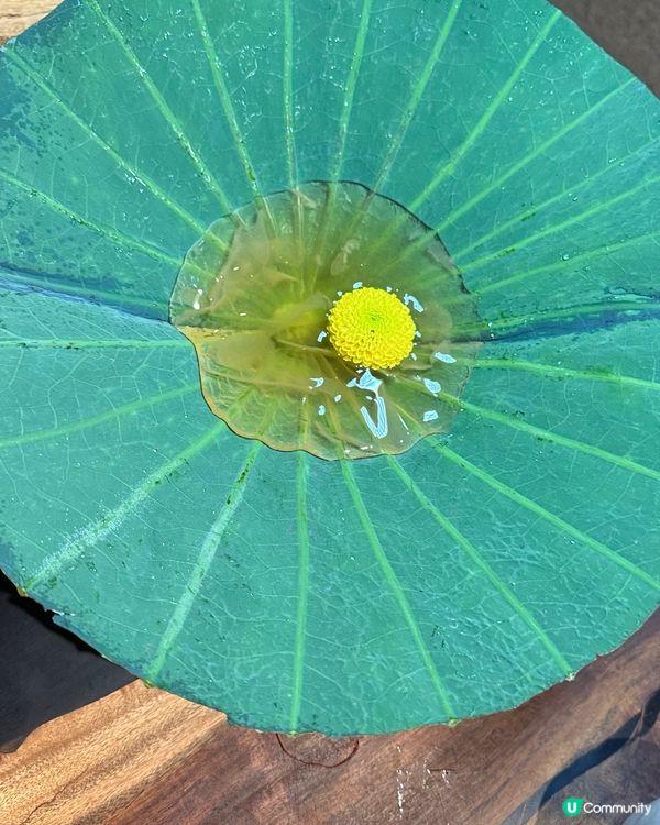 素菜天花板！灣仔打卡必去🤩😋