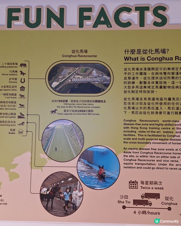 忌廉湯+肉眼😋！觀塘新蒲點！