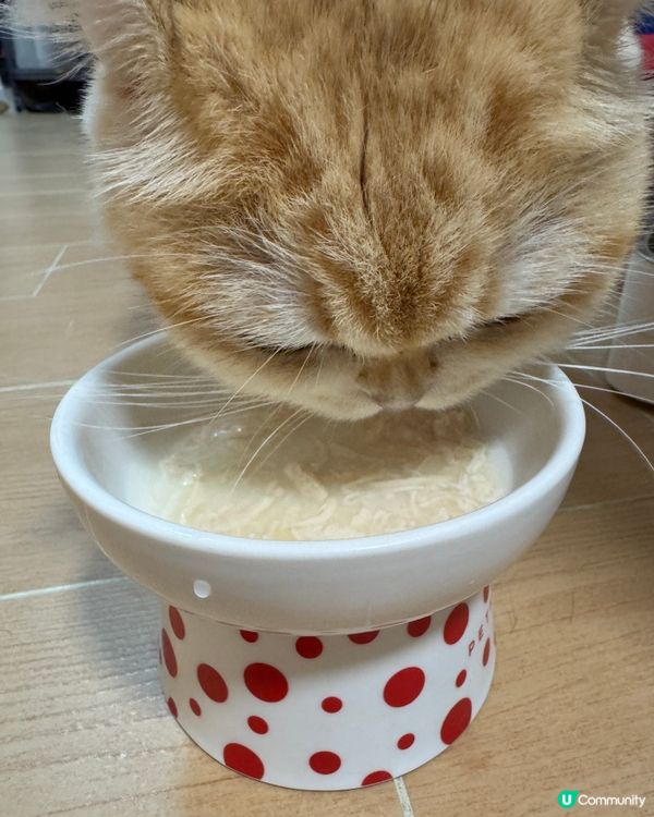 由細食到大嘅罐罐～