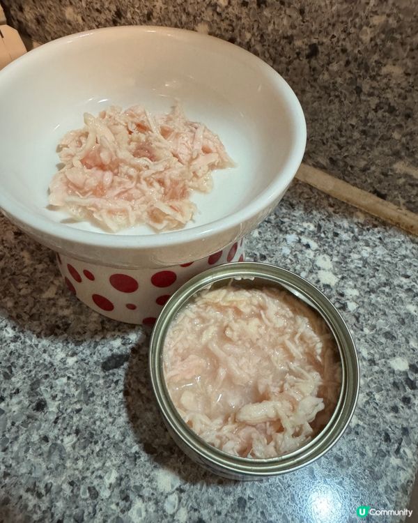 由細食到大嘅罐罐～