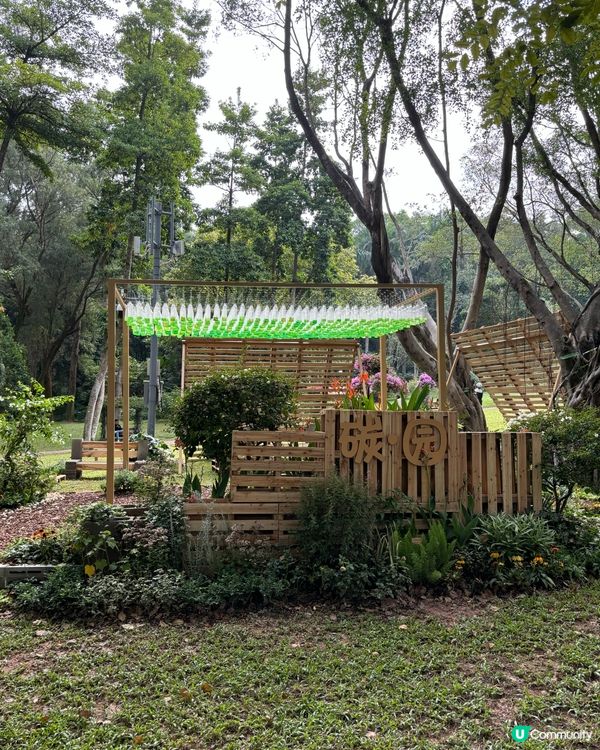 週末深業上城親子遊！📸 玩足一日！🥳