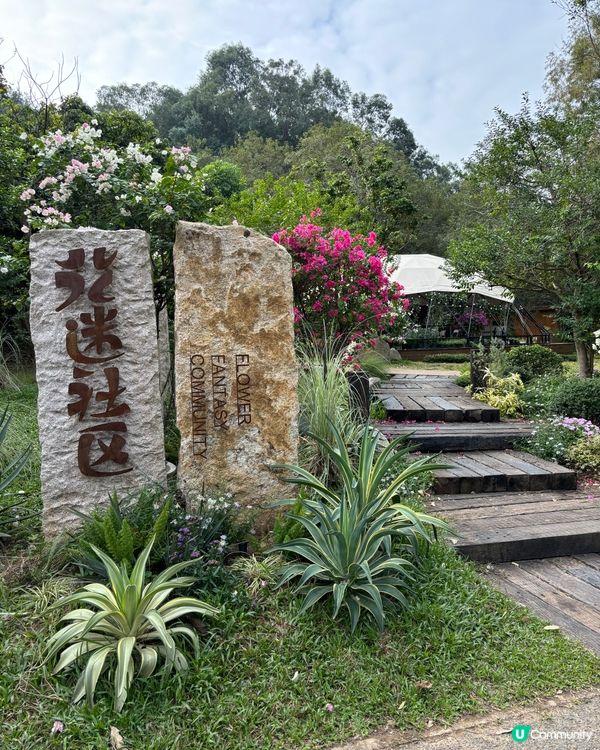 週末深業上城親子遊！📸 玩足一日！🥳