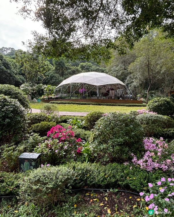 週末深業上城親子遊！📸 玩足一日！🥳