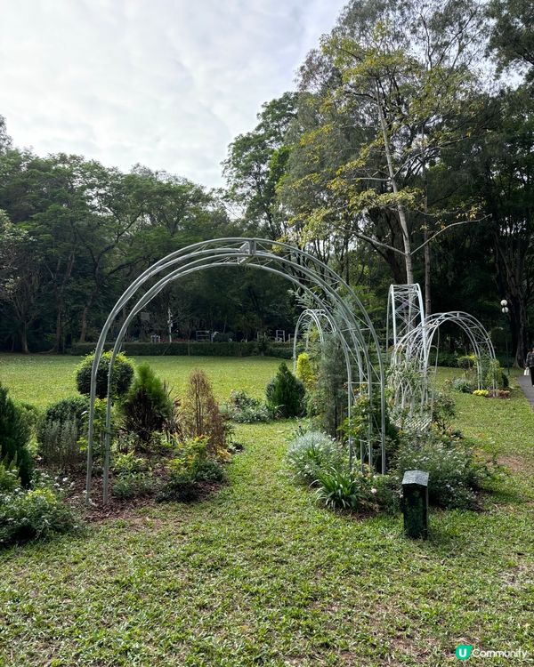 週末深業上城親子遊！📸 玩足一日！🥳