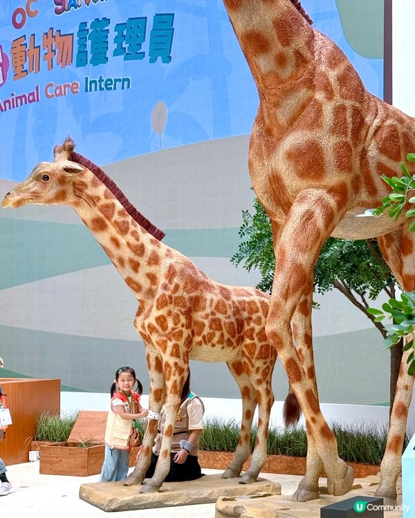 😍見習動物護理員體驗！👦🏻👧🏻暑假打工仔😆