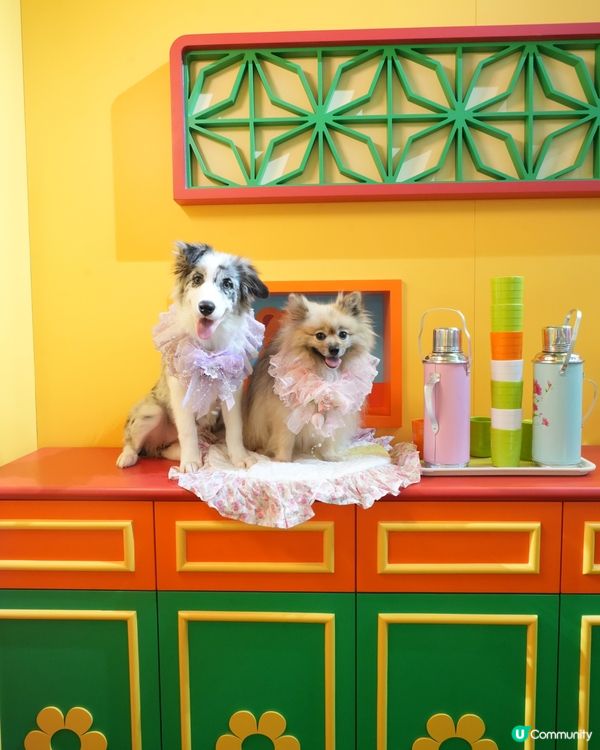 Wiggle Wiggle Pop-Up Store
