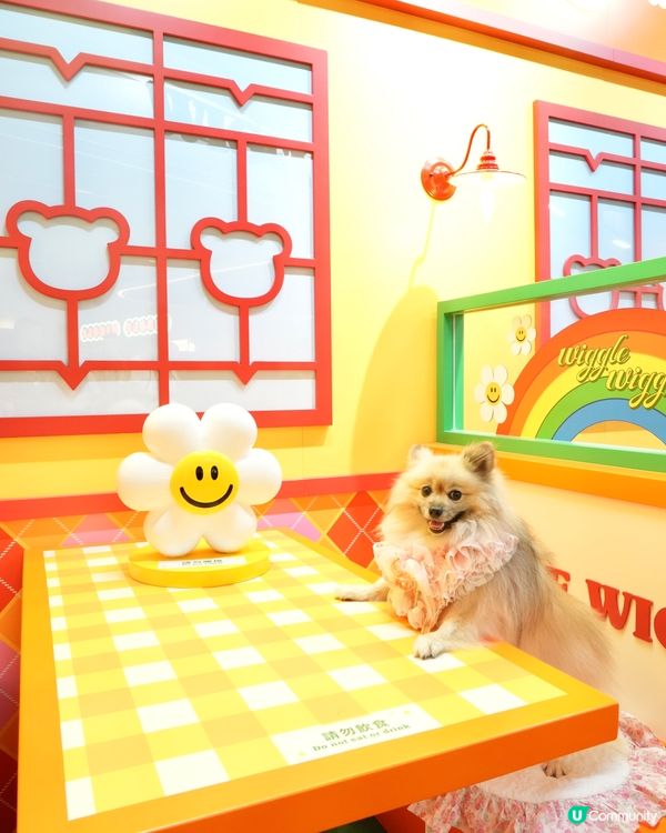 Wiggle Wiggle Pop-Up Store