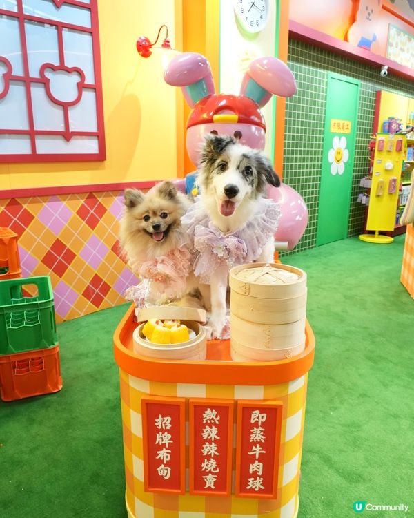 Wiggle Wiggle Pop-Up Store