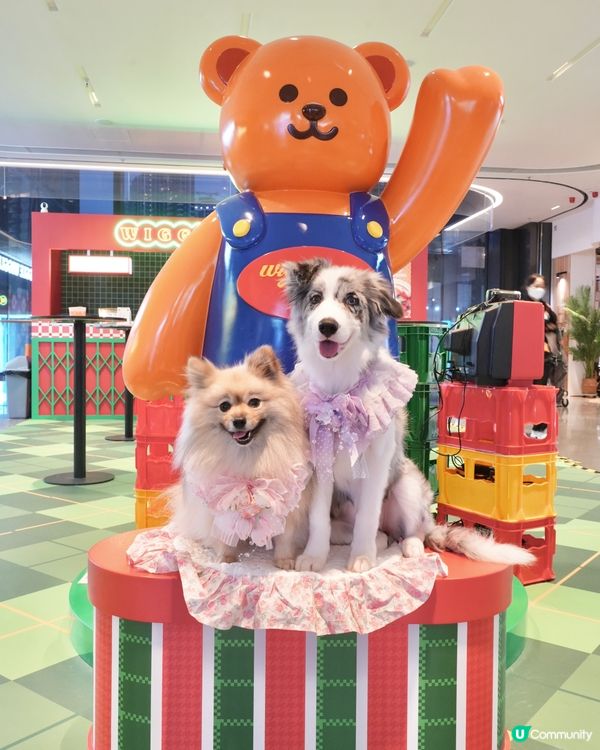 Wiggle Wiggle Pop-Up Store