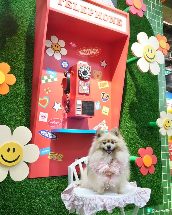 Wiggle Wiggle Pop-Up Store