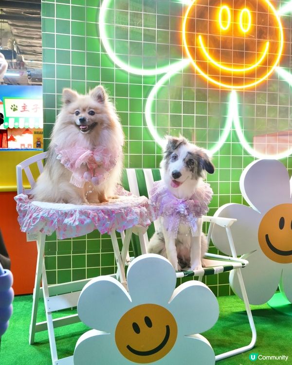 Wiggle Wiggle Pop-Up Store