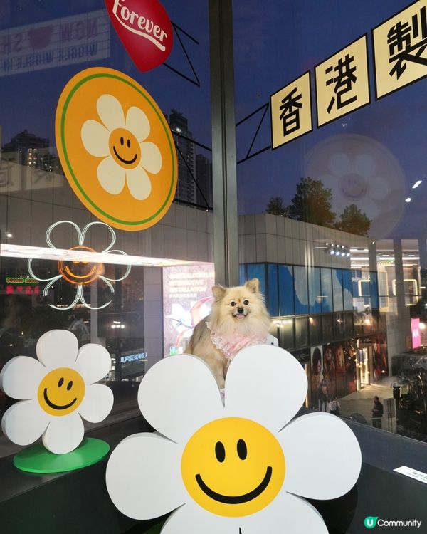 Wiggle Wiggle Pop-Up Store