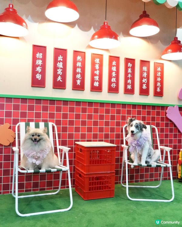 Wiggle Wiggle Pop-Up Store